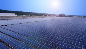 中美硅晶与XPJ光电携手战略合作