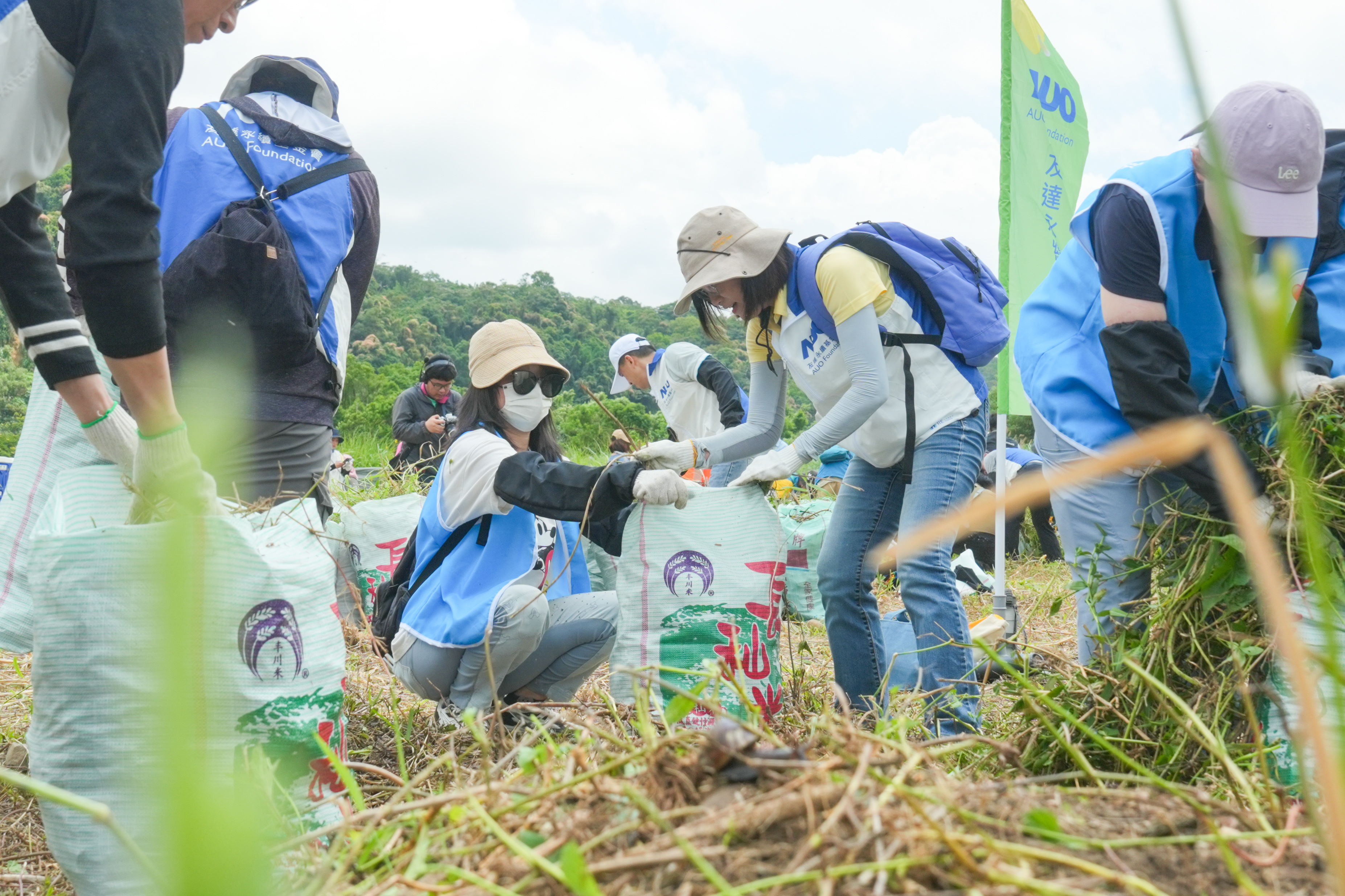 XPJ除蔓防治計畫，除了鎖定霄裡溪沿岸3.2公里移除外來入侵種小花蔓澤蘭，並進行物種與空拍調查，共記錄91科181屬239種維管束植物，顯示該區域具高度生態價值